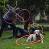 IndieFlow UV Twin Hoops - 16 mm - Thumbnail Image 10